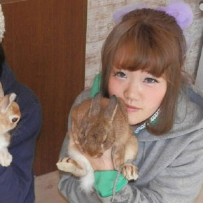 Usagi Cafe